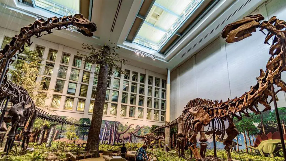 Insider's Guide: Carnegie Museums of Art and Natural History - Visit  Pittsburgh